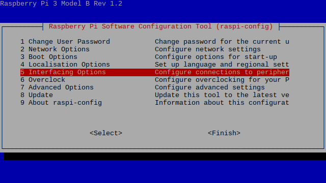 Raspberry Pi 