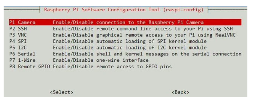 Raspberry Pi 